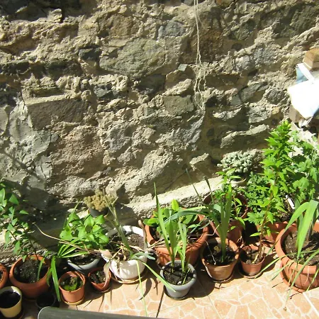 Pensjonat Nevena Sozopol